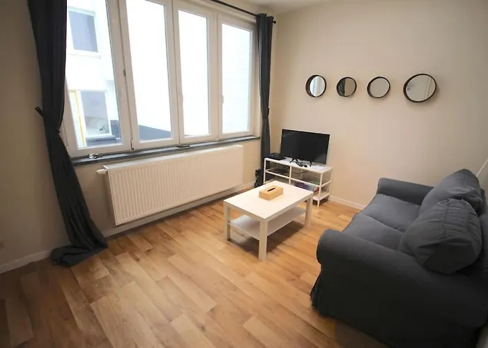 Daire 2 Ch Avec Terrasse En Centre Liège